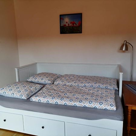 Appartement Et Terrasse Privee Ingolsheim Luaran gambar