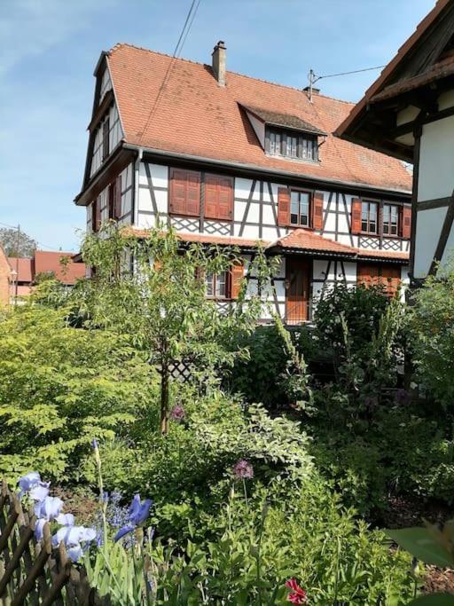 Appartement Et Terrasse Privee Ingolsheim Luaran gambar